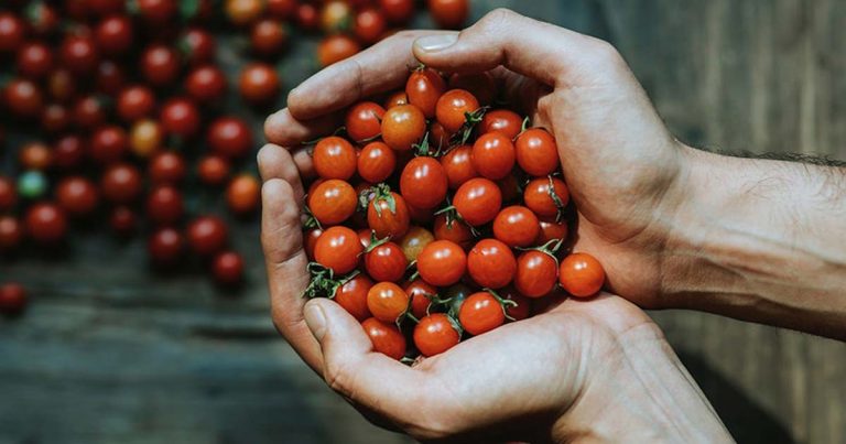 pomodoro